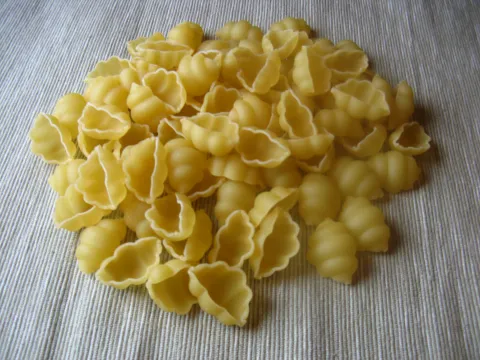 alternativa pro těsta: těstoviny (mušle) 
