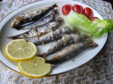 šest kusů sardinek, citrón, salát, rajčata